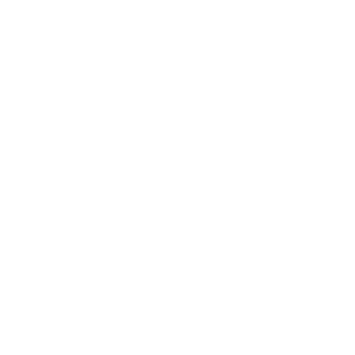 Karel Caslavsky Logo